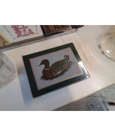 BOITE CANARD