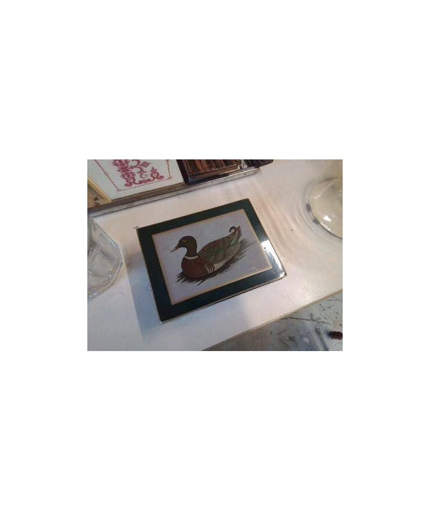 BOITE CANARD