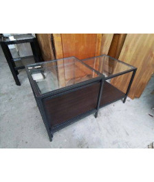 DUO TABLE BASSE 