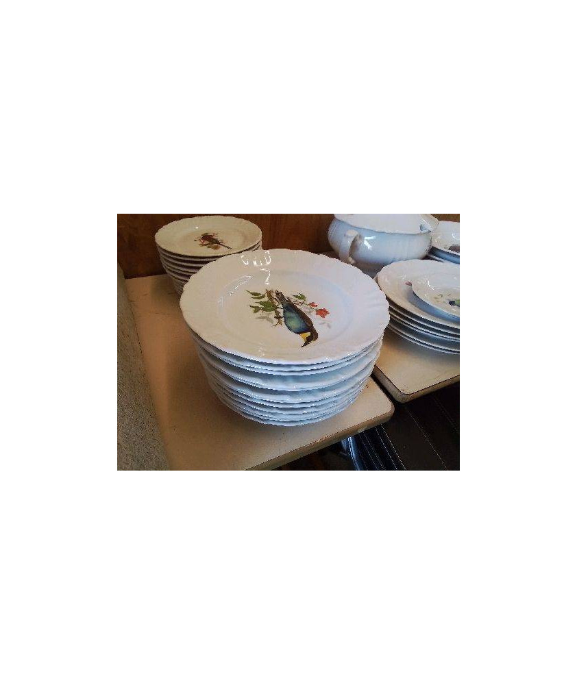 LOT 12 ASSIETTES CREUSES EN PORCELAINE 