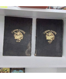 L’UNIVERS ILLUSTRÉ 