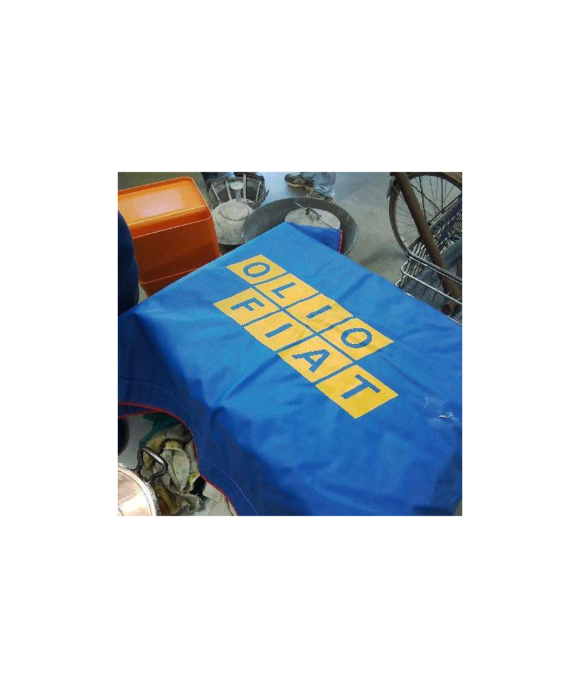 PROTECTION ETABLIE DE VOITURE 