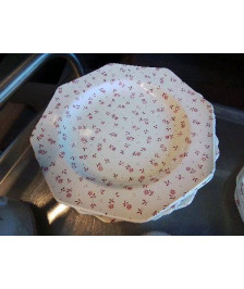 LOT DE 9 ASSIETTES PLATES