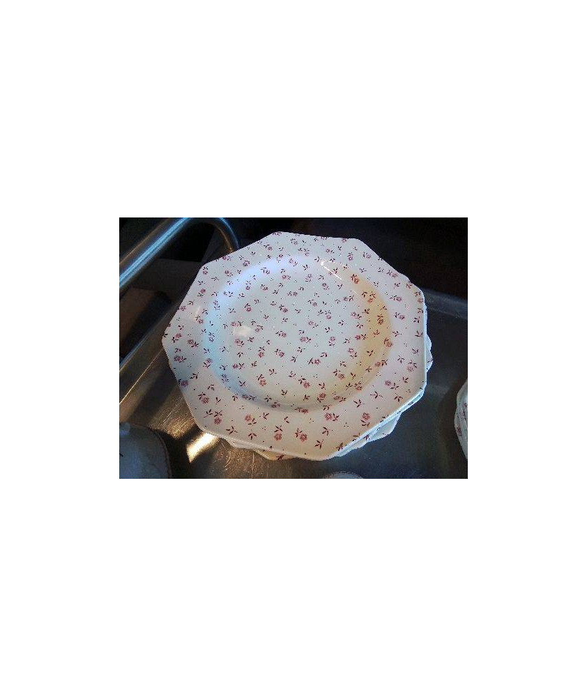 LOT DE 9 ASSIETTES PLATES