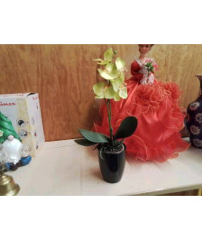 ORCHIDÉE SYNTHÉTIQUE 