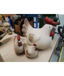 ENSEMBLE DE 3 POULES 