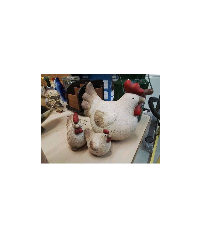 ENSEMBLE DE 3 POULES 