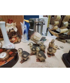 CANNE AVEC SES CANNETONS