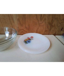 LOT DE 2 ASSIETTES ARCOPAL