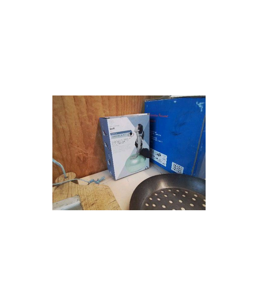 BALLON DE GYMNASTIQUE 