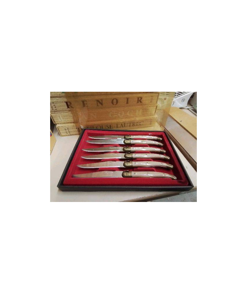 LOT DE 6 COUTEAU LAGUIOLE 