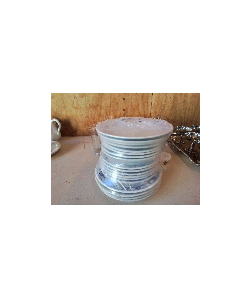 LOT DE 18 ASSIETTES MOTIF FLORAL BLEU 