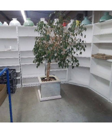 CACHE POT MIROIR AVEC PLANTE