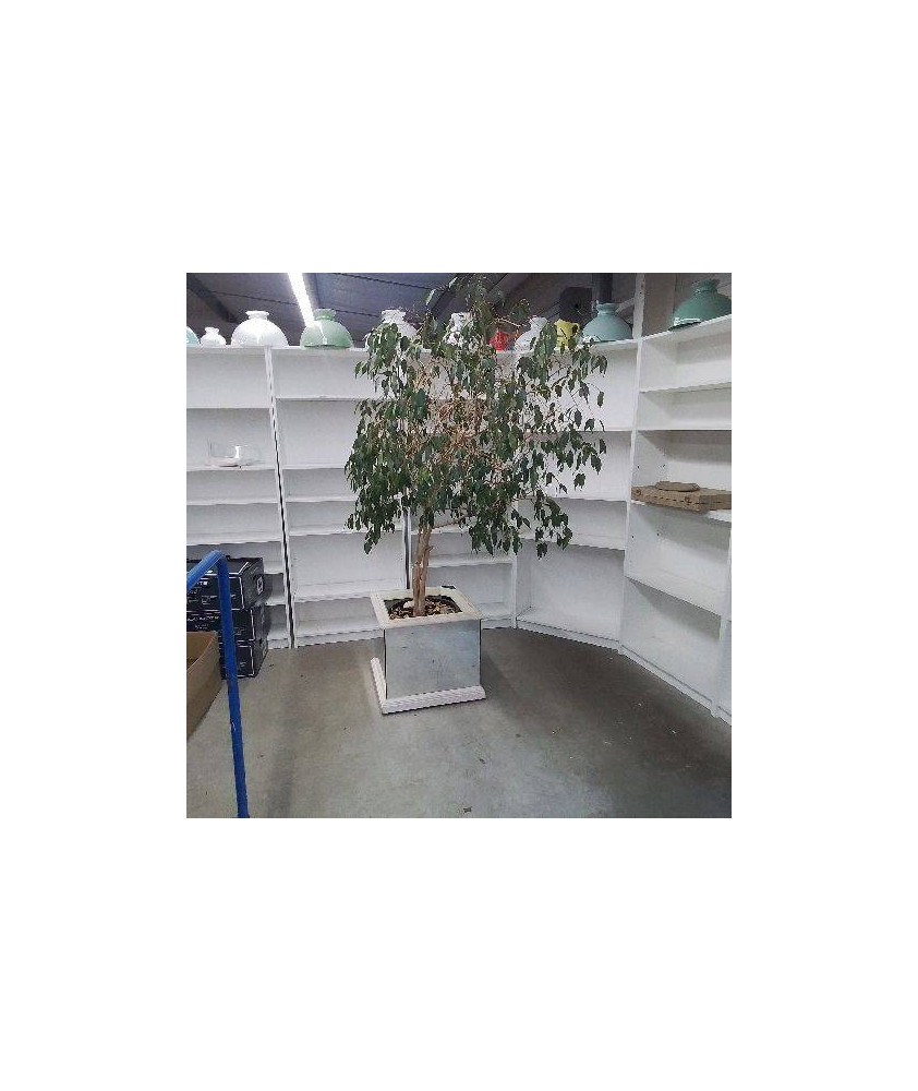 CACHE POT MIROIR AVEC PLANTE