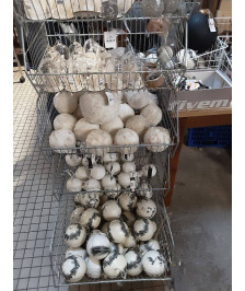 BOULE DE NOEL  DIVERS