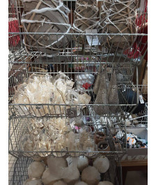 BOULE DE NOEL  DIVERS