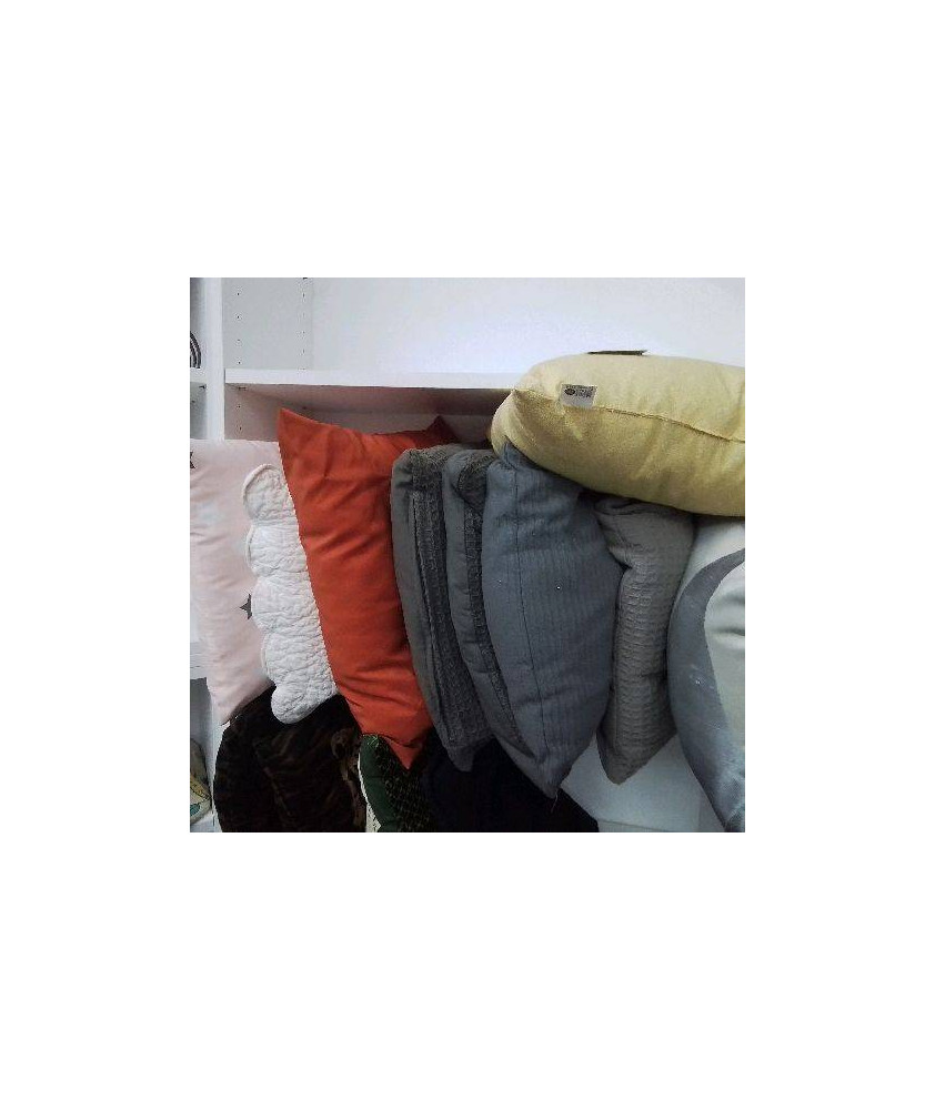 COUSSIN 2,9