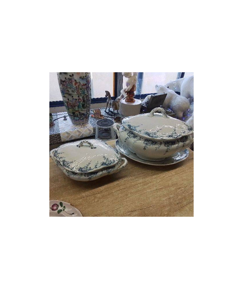 ENSEMBLE SOUPIERE ET LEGUMIER LUNEVILLE 