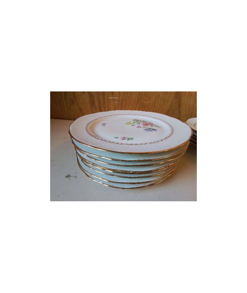 LOT 8 ASSIETTES EN PORCELAINE 