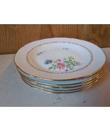 LOT DE 5 ASSIETTES EN PORCELAINE 