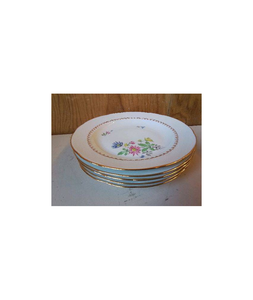 LOT DE 5 ASSIETTES EN PORCELAINE 