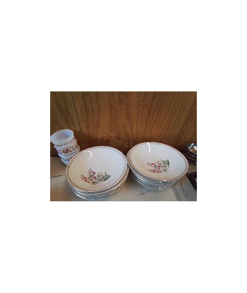 LOT DE 11 ASSIETTE CREUSE MOTIF FLORAL 