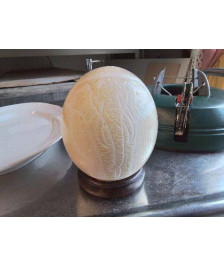 VERITABLE OEUF D AUTRUCHE 