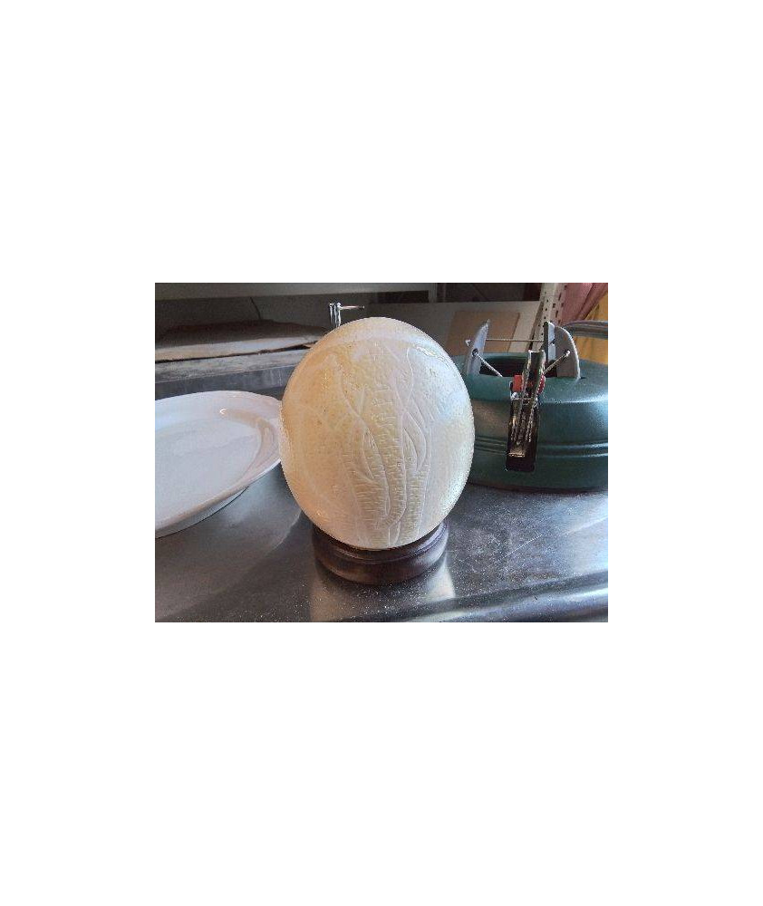 VERITABLE OEUF D AUTRUCHE 