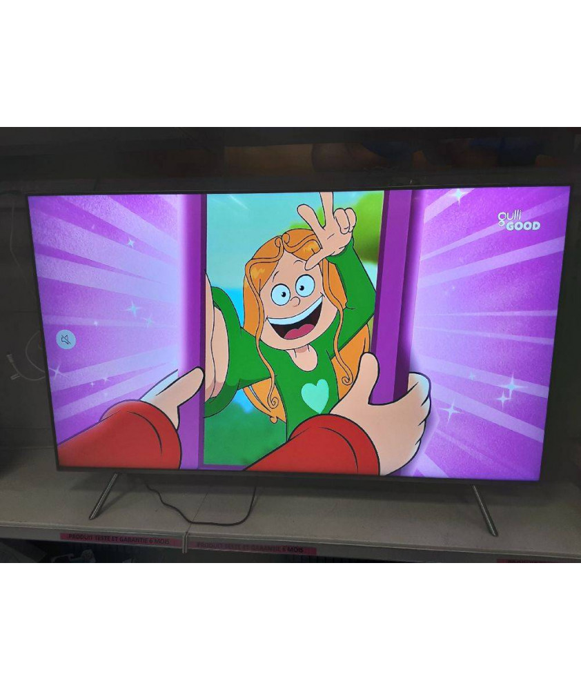 TV QLED SAMSUNG QE55Q6FNAT SMART-TV WFI 