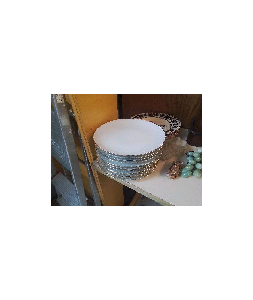 LOT 12 ASSIETTES EN PORCELAINE 