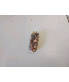 PETITE GRAPPE DE RAISIN