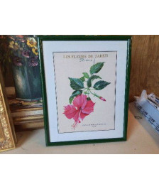 CADRE FLEUR DE TAHITI