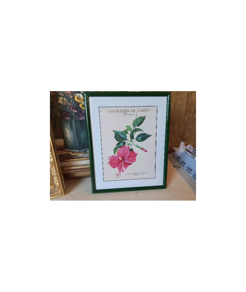 CADRE FLEUR DE TAHITI
