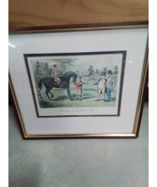 GRAVURE ERCLES MR SPONGE 