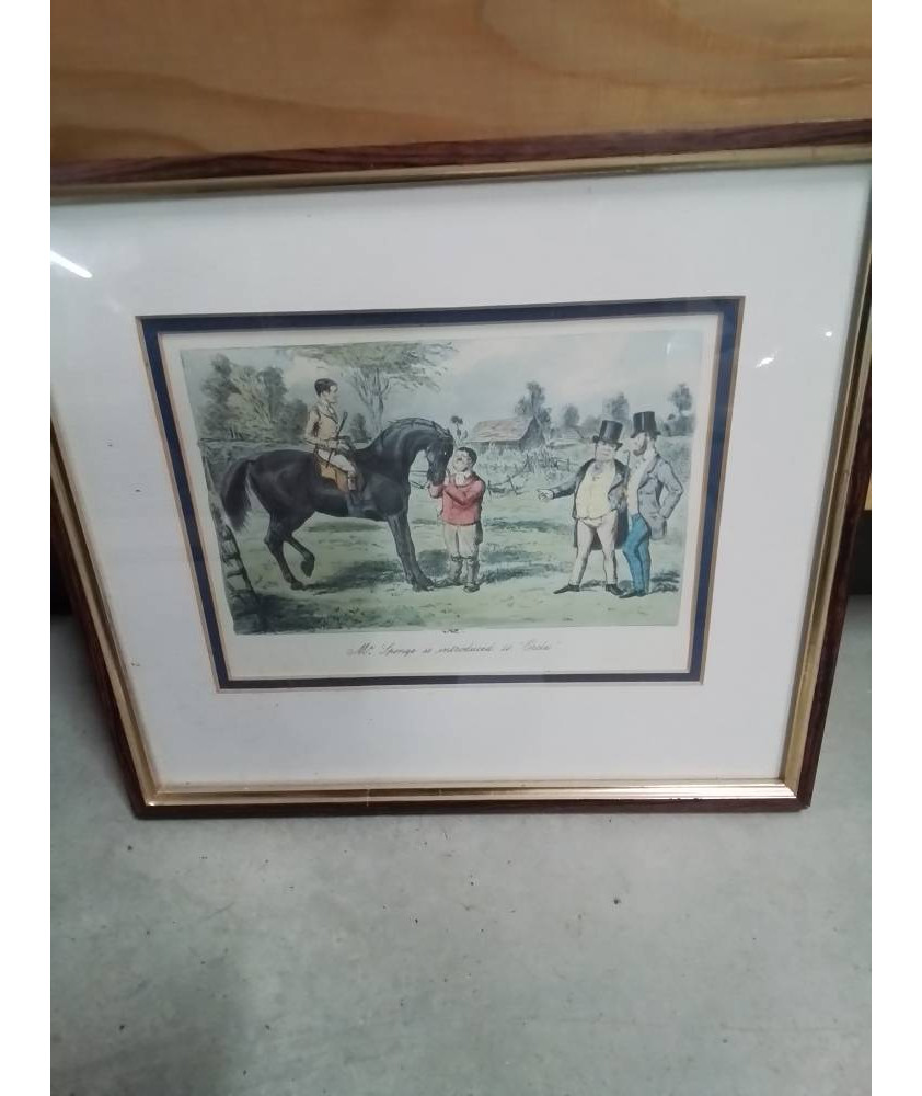 GRAVURE ERCLES MR SPONGE 