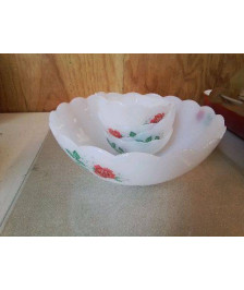 SERVICE À DESSERT EN ARCOPAL MOTIF ROSE 