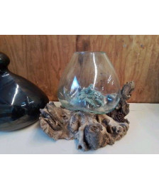 VASE EN VERRE SUR RACINE EN BOIS