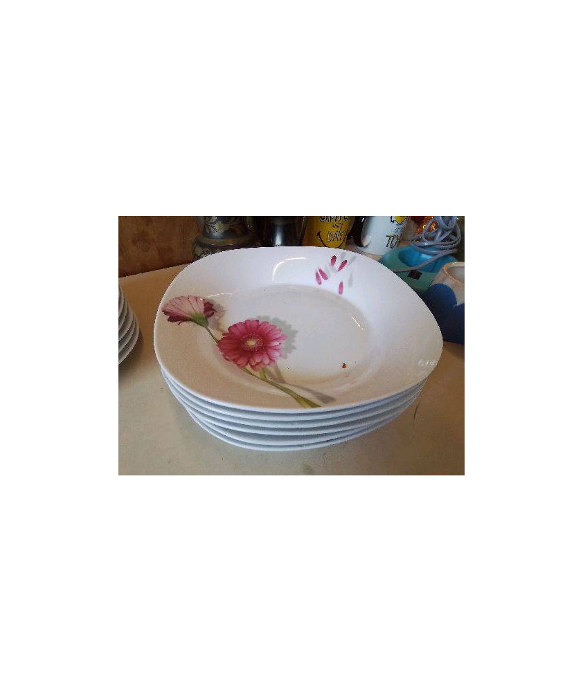 LOT DE 6 ASSIETTES CREUSES