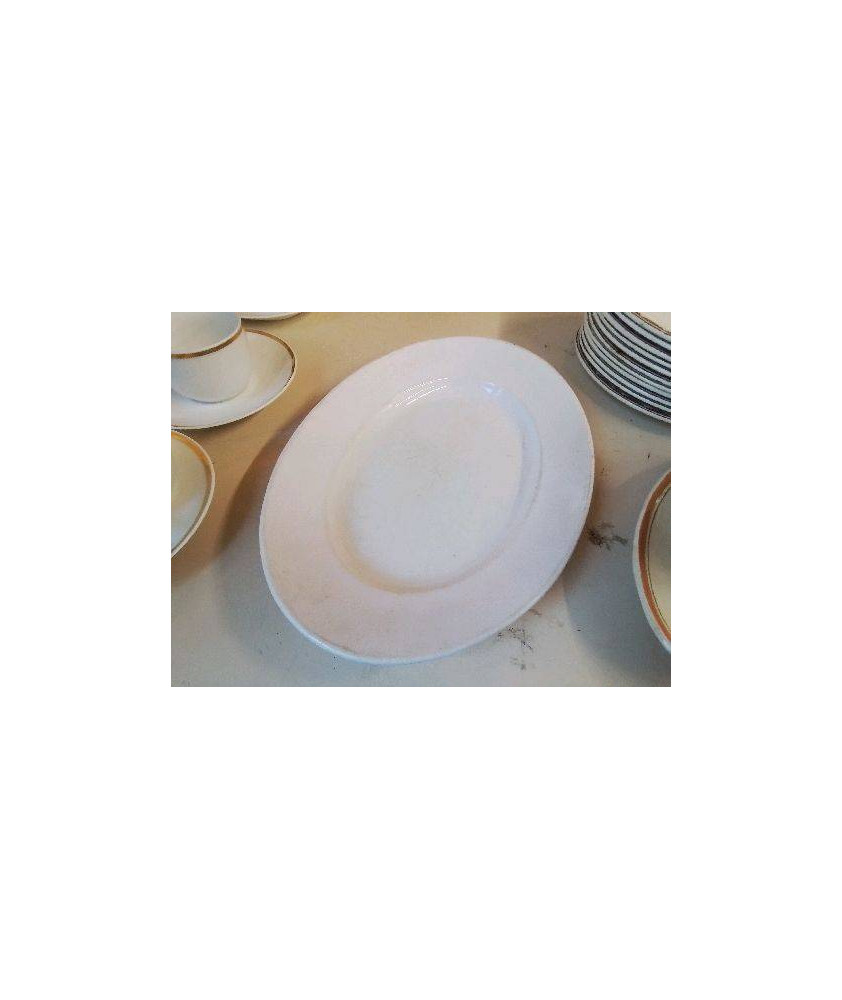 PLAT EN PORCELAINE 
