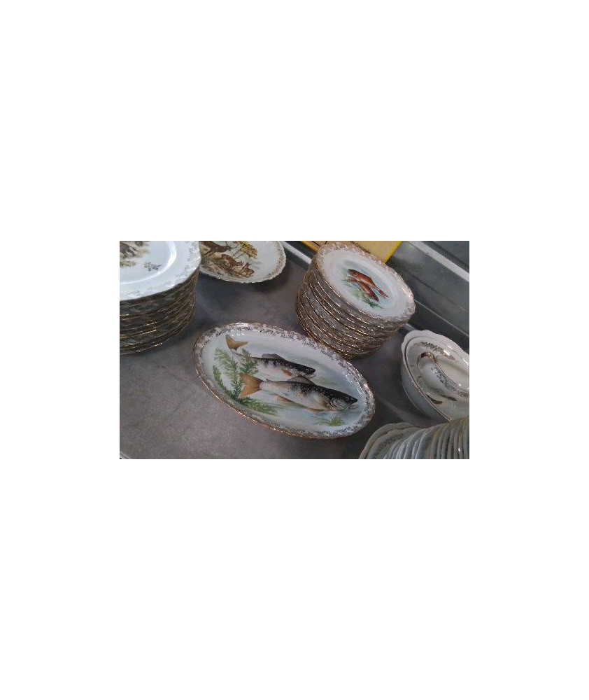 ASSIETTES A POISSON + PLAT PORCELAINE 