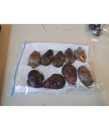 PETIT MAGNETTE MASQUE AFRICAIN 