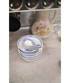 BOL ASIAT + CUILLERE 