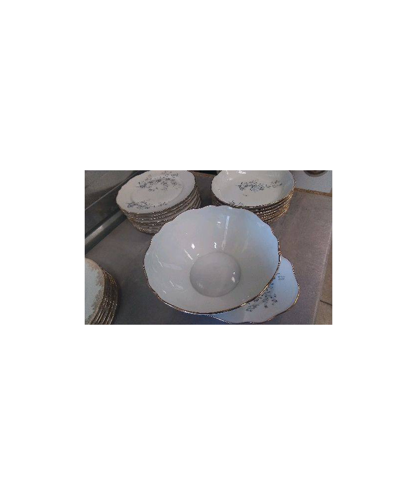 SERVICE DE TABLE PORCELAINE BERRY