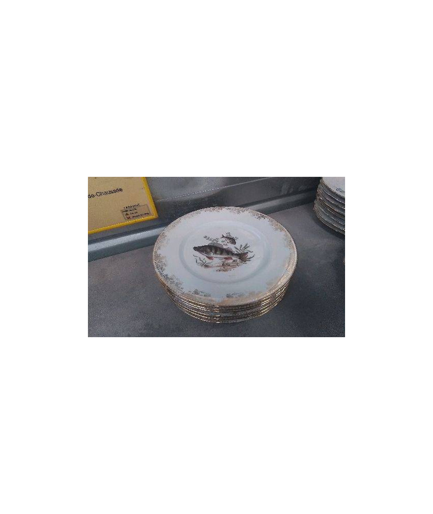 ASSIETTES POISSON LIMOGES LE LOT