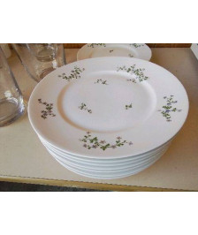 LOT DE 8 ASSIETTES PLATES