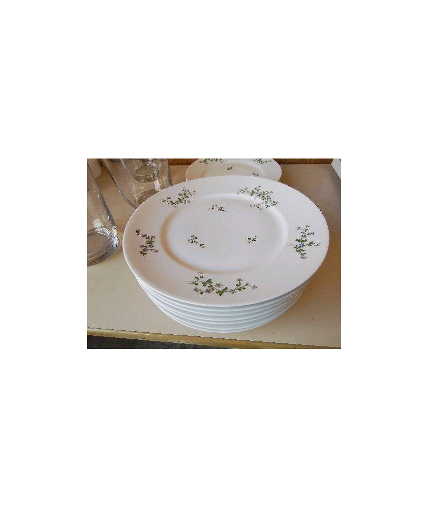 LOT DE 8 ASSIETTES PLATES