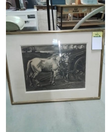 LITHOGRAPHIE CHEVAL 