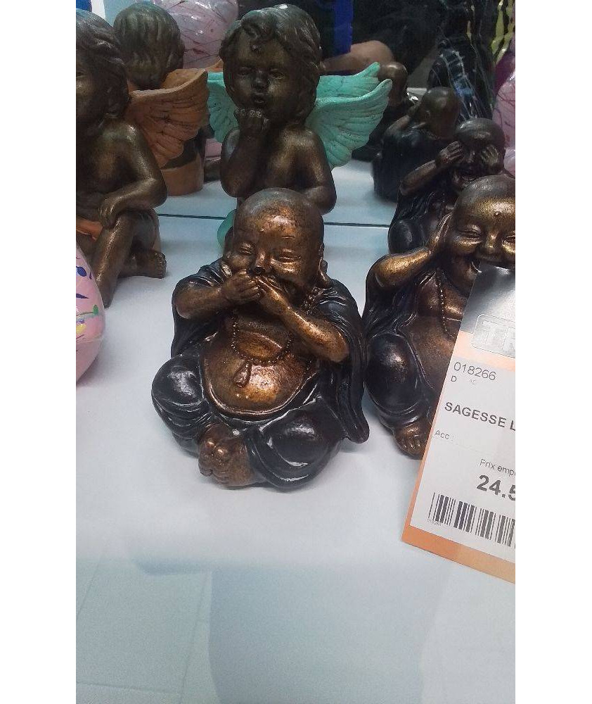 SAGESSE LOT 3 EN 10 CM