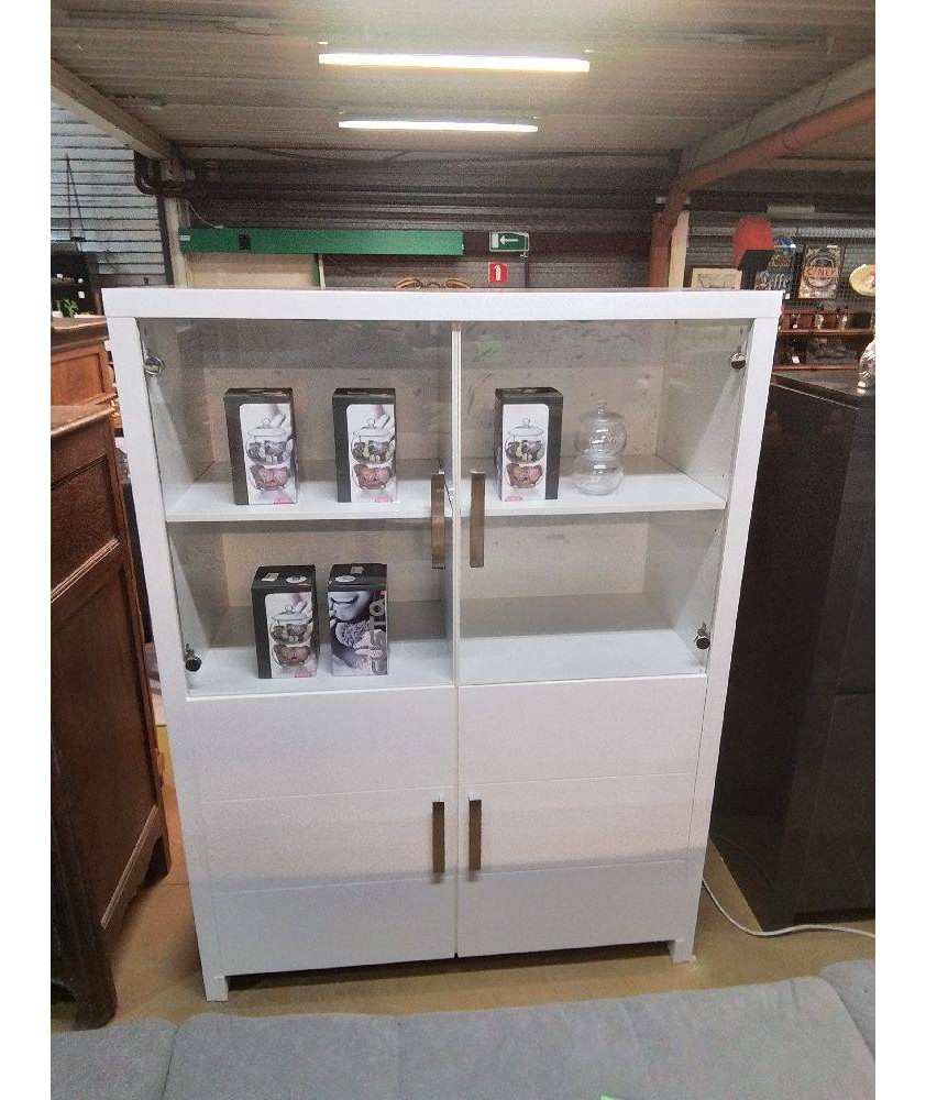 MEUBLE 2 PORTES VITRE ET 2 PLAINES MODERNE