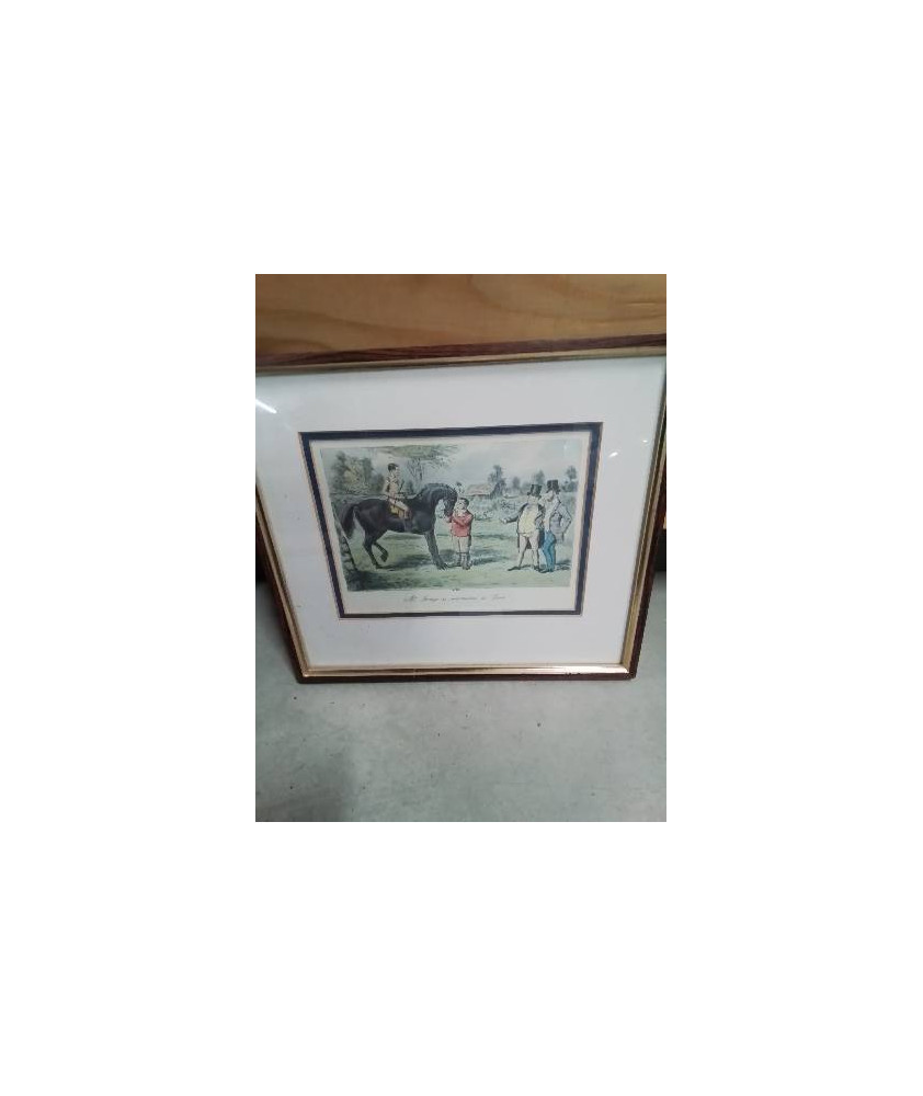 GRAVURE ERCLES MR SPONGE 